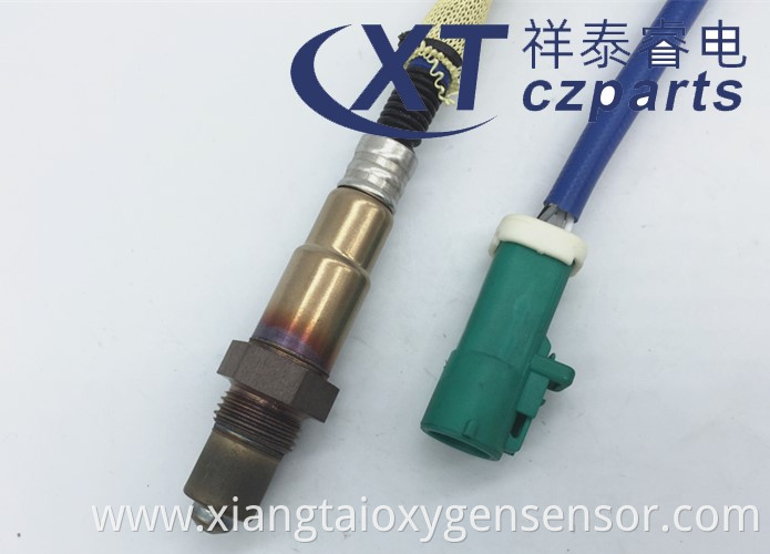 Focus Oxygen Sensor